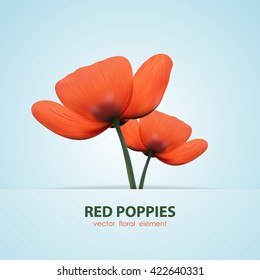 Vector illustration: Two isolated  poppy. Red flowers