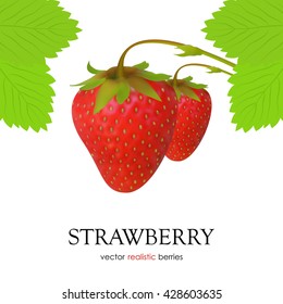 Vector illustration: Two isolated realistic Strawberry and leaves on white background