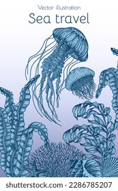 Vector illustration of two jellyfish on the seabed surrounded by corals, algae, shellfish, starfish in engraving style