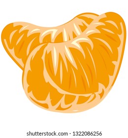 Vector illustration two juicy bits of the tangerine