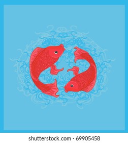 Vector illustration of two koi carps splashing in water and swiming