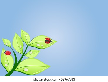 Ilustración vectorial de dos ladybugs sobre hojas verdes