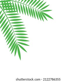 Vector illustration of two large palm leaves on a white background.