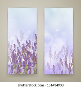 Vector Illustration of Two Lavender Banners