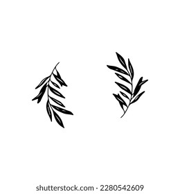 vector illustration of two leaves concept