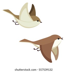 Vector illustration of two little flying birds isolated on white background