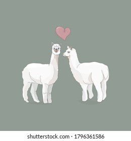 Vector illustration of two llamas or alpacas and a heart between them. Love. Cartoon style pastel colors. For design, postcards, packaging.