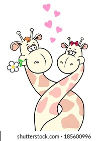 Vector illustration of two love giraffes with long spotted necks (can be used as card for valentine's day).