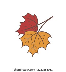 Vector illustration of two maple leaves. Red and yellow. Hand drawn icon and logo design