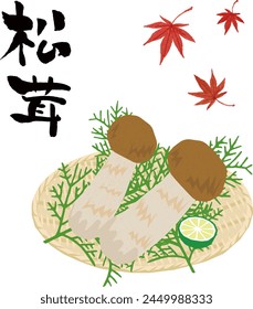 Vector illustration of two matsutake mushrooms on a colander, a Japanese autumn delicacy.