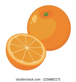 Vektorgrafik von zwei Orangen auf weißem Hintergrund.