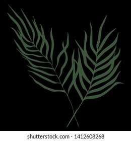 Vector illustration of two palm leaves. Tropical plants. Ferns