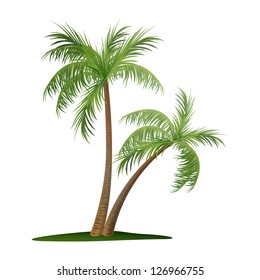 Vector Illustration of Two Palm Trees