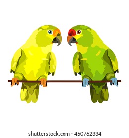 Vector illustration of two parrots on white background. Vector budgie