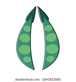 Vector illustration of two pea pods with peas inside