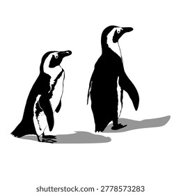 Vector illustration two penguin
