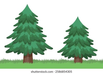 Vector illustration of two pine trees, one large and one small, coniferous plant, single tree