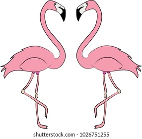 Vector illustration of two pink flamingos facing each other