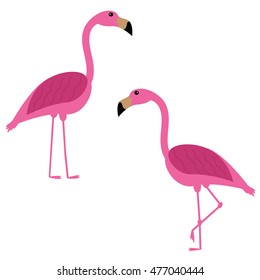 Vector illustration. Two pink flamingos.