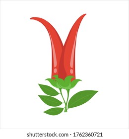 Vector illustration of two pods of red chili peppers with green leaves on a white background. Realistic performance.