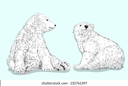 Vector illustration of two polar bears.