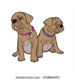 Vector illustration of two puppies in line. Isolated dog for printing in a coloring book, blank for designer, icon, logo