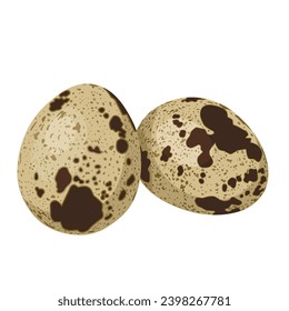 Vector illustration, two quail eggs, isolated on white background.