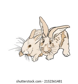 
Vector illustration of two rabbits. Isolated drawing of a hare as an emblem, logo, blank for designers
