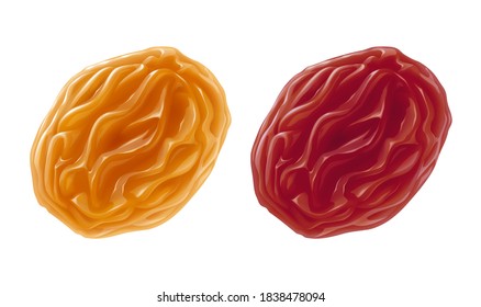 Vector illustration of two raisins.