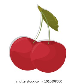 Vector illustration of two red cherries with a leaf