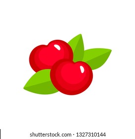 Vector illustration of two red ripe cherries with leaves. Flat icon set of organic fresh berries. Natural vegetarian food. Isolated object on white background 