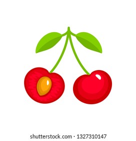 Vector illustration of two red ripe cherries with stem & leaves. Flat icon set of organic fresh berries. Natural vegetarian food. Isolated object on white background 