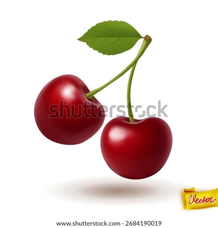 Vector illustration of two ripe red cherries with green leaf. Fresh summer fruit design element for healthy food, dessert decoration, agriculture and organic product projects.