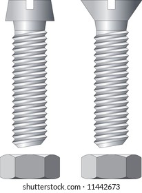 Vector Illustration of two screws