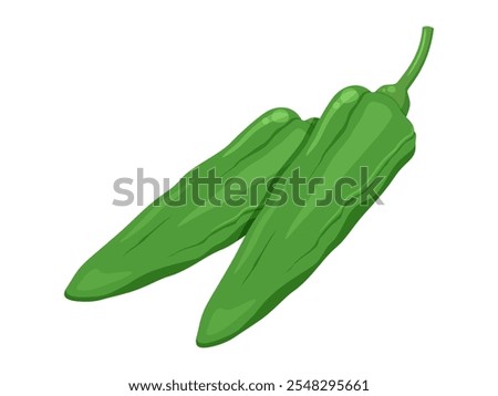 Vector illustration of two shishito peppers