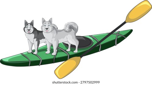 Vector illustration of two Siberian huskies standing on a green kayak with a paddle
