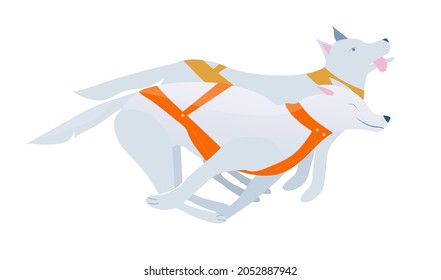 
Vector illustration with two sled dogs in harness, winter sport