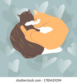 Vector illustration of two sleeping together cats.
