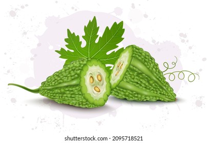 Vector Illustration of two slices of Bitter gourd vegetable