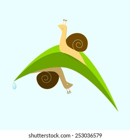 Vector illustration of two snails playing hide-and-seek on a green leaf.