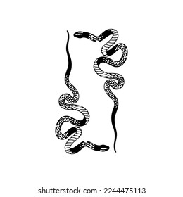vector illustration of two snakes