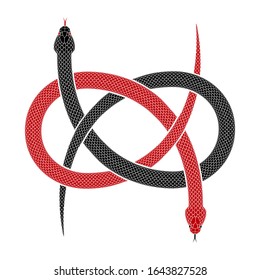 Vektorillustration Illustration von zwei Schlangen, die in Form von Carrick Biegung verflochten sind. Tattoo-Design mit Schlangen verbunden als Wake oder Ormonde Knoten einzeln auf weißem Hintergrund.