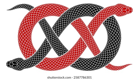 Vector illustration of two snakes intertwined in form of Carrick bend sign. Serpent silhouette of Wake knot symbol. Isolated tattoo design.