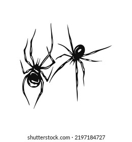 vector illustration of two spiders