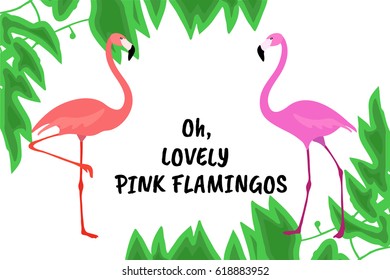 a vector illustration with two standing flamingo birds on white background with green leaves; great for posters and banners about holidays or zoo