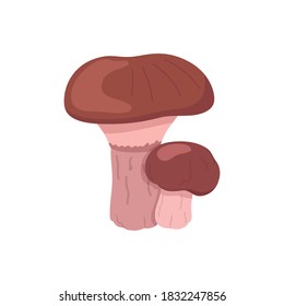 Vector illustration two  stubby-stalk. Two interesting mushrooms in a complex flat style. A couple of mushrooms for food retail concerts.