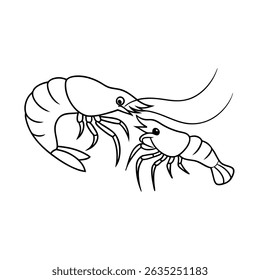 Vector illustration of two stylized shrimp in a simple outline black and white design