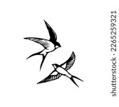 vector illustration of two swallows