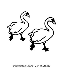 vector illustration of two swans