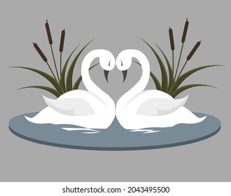 vector illustration of two swans in love on the water in lumps